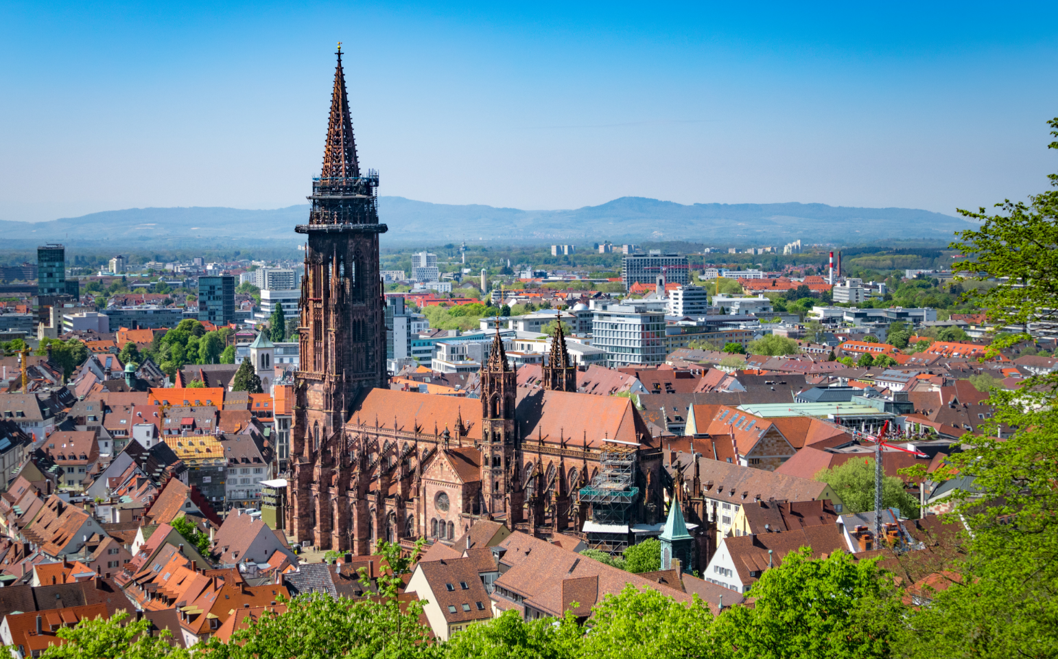 Skyline von Freiburg – Patientenanwalt, Anwalt für Medizinrecht in Freiburg