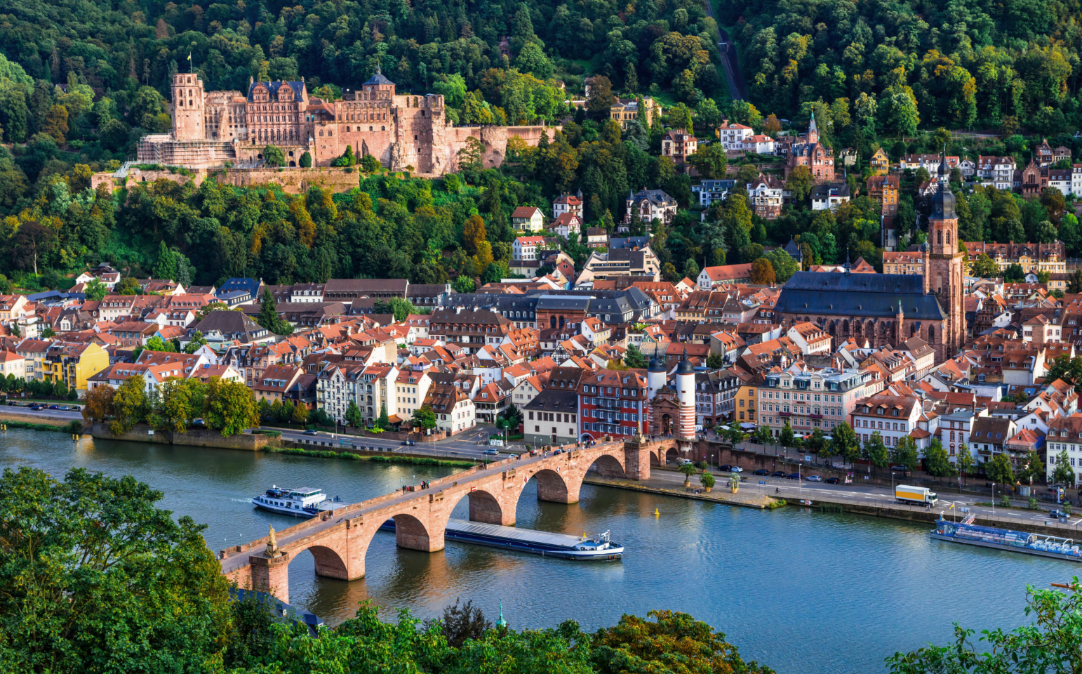 Skyline von Heidelberg – Patientenanwalt, Anwalt für Medizinrecht in Heidelberg